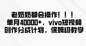 老奶奶都会操作，新平台无脑操作，单月40000+，vivo短视频创作分成计划【揭秘】-虚拟资源库