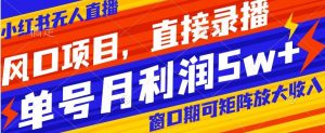 风口项目，小红书无人直播带货，直接录播，可矩阵，月入5w+【揭秘】-虚拟资源库