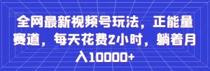 全网最新视频号玩法，正能量赛道，每天花费2小时，躺着月入10000+【揭秘】-虚拟资源库