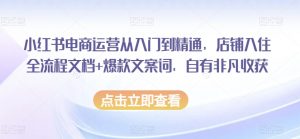 小红书电商运营从入门到精通,店铺入住全流程文档+爆款文案词,自有非凡收获-虚拟资源库
