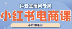 小红书电商高级运营课程，实操教学+案例分析-虚拟资源库