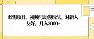 蓝海项目，视频号动漫玩法，对新人友好，月入3000+【揭秘】-虚拟资源库