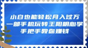 小白也能轻松月入过万,一部手机玩转王阳明心学,手把手教你赚钱【揭秘】-虚拟资源库