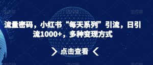 流量密码，小红书“每天系列”引流，日引流1000+，多种变现方式【揭秘】-虚拟资源库