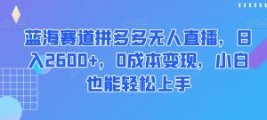 蓝海赛道拼多多无人直播，日入2600+，0成本变现，小白也能轻松上手【揭秘】-虚拟资源库