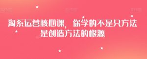 淘系运营核心课,你学的不是只方法是创造方法的根源-虚拟资源库