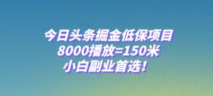 今日头条掘金低保项目，8000播放=150米，小白副业首选【揭秘】-虚拟资源库