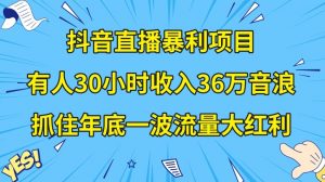 抖音直播暴利项目，有人30小时收入36万音浪，公司宣传片年会视频制作，抓住年底一波流量大红利【揭秘】-虚拟资源库