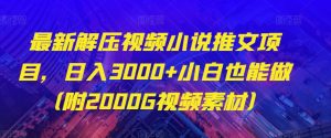 最新解压视频小说推文项目，日入3000+小白也能做（附2000G视频素材）【揭秘】-虚拟资源库