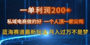 一单利润200私域电商做的好，一个人顶一家公司蓝海赛道最新玩法【揭秘】-虚拟资源库