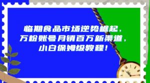 临期食品市场逆势崛起，万粉账号月销百万新渠道，小白保姆级教程【揭秘】-虚拟资源库