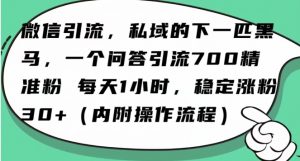 怎么搞精准创业粉?微信新赛道,每天一小时,利用Ai一个问答日引100精准粉-虚拟资源库