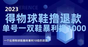 2023得物球鞋撸退款，单号一双鞋暴利撸1000，一个比得物球鞋搬砖暴利10倍的项目【揭秘】-虚拟资源库