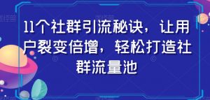 11个社群引流秘诀,让用户裂变倍增,轻松打造社群流量池-虚拟资源库