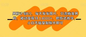 男粉计划6.0，每天发发图片，引流精准男粉，被动变现月入8000+，喂饭式教学，小白无脑复制操作即可-虚拟资源库