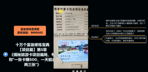 十万个富翁修炼宝典之5.揭秘旅游卡项目骗局,号称“一张卡赚500,一天能卖两三张”-虚拟资源库