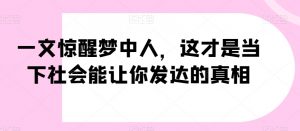 一文惊醒梦中人，这才是当下社会能让你发达的真相【公众号付费文章】-虚拟资源库