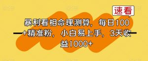 暴利看相命理测算,每日100+精准粉,小白易上手,3天收益1000+【揭秘】-虚拟资源库