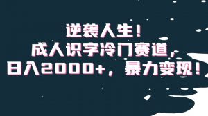 逆袭人生!成人识字冷门赛道,日入2000+,暴力变现!【揭秘】-虚拟资源库