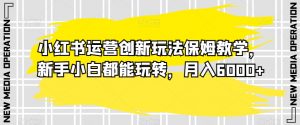 小红书运营创新玩法保姆教学，新手小白都能玩转，月入6000+【揭秘】-虚拟资源库