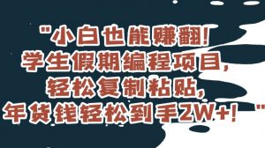 小白也能赚翻!学生假期编程项目,轻松复制粘贴,年货钱轻松到手2W+【揭秘】-虚拟资源库
