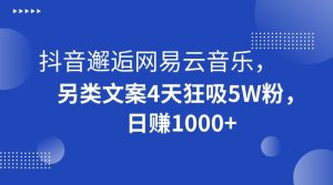 抖音邂逅网易云音乐，另类文案4天狂吸5W粉，日赚1000+【揭秘】-虚拟资源库