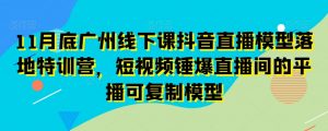11月底广州线下课抖音直播模型落地特训营,短视频锤爆直播间的平播可复制模型-虚拟资源库