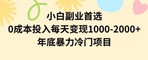 小白副业首选，0成本投入，每天变现1000-2000年底暴力冷门项目【揭秘】-虚拟资源库