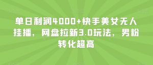 单日利润4000+快手美女无人挂播，网盘拉新3.0玩法，男粉转化超高【揭秘】-虚拟资源库