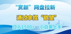 “赏颜”网盘拉新赛道，通过拿捏“欲望”日入1500+，小白易上手【揭秘】-虚拟资源库