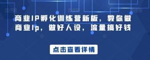商业IP孵化训练营新版,教你做商业Ip,做好人设,流量搞好钱-虚拟资源库