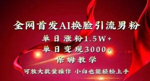 全网首发Ai换脸引流男粉,单日涨粉1.5w+,单日变现3000+,小白也能轻松上手拿结果【揭秘】-虚拟资源库