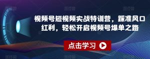 视频号短视频实战特训营,踩准风口红利,轻松开启视频号爆单之路-虚拟资源库