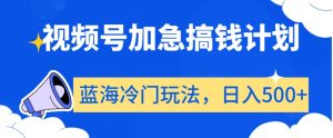 视频号加急搞钱计划，蓝海冷门玩法，日入500+【揭秘】-虚拟资源库