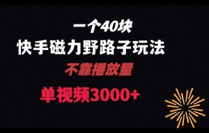 一个40块，快手联合美团磁力新玩法，无视机制野路子玩法，单视频收益4位数【揭秘】-虚拟资源库