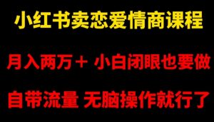 小红书卖恋爱情商课程,月入两万+,小白闭眼也要做,自带流量,无脑操作就行了【揭秘】-虚拟资源库