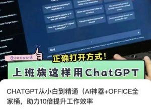 CHATGPT从小白到精通，AI神器+OFFICE全家桶，助力10倍提升工作效率-虚拟资源库