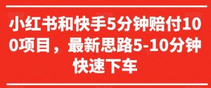 小红书和快手5分钟赔付100项目，最新思路5-10分钟快速下车【仅揭秘】-虚拟资源库
