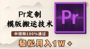 最新Pr定制模版搬运技术,中视频100%通过,几分钟一条视频,轻松月入1W+【揭秘】-虚拟资源库