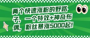 两个快速涨粉的野路子，一个特效+神奇布偶，粉丝暴涨5000起【揭秘】-虚拟资源库