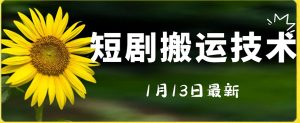 最新短剧搬运技术，电脑手机都可以操作，不限制机型-虚拟资源库