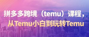 拼多多跨境（temu）课程，从Temu小白到玩转Temu-虚拟资源库