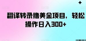 翻译转录撸美金项目,轻松操作日入300+【揭秘】-虚拟资源库