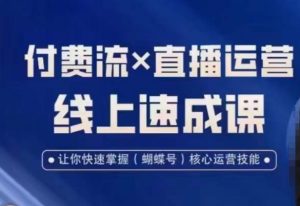 视频号付费流实操课程，付费流✖️直播运营速成课，让你快速掌握视频号核心运营技能-虚拟资源库