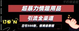 最新情趣项目引流全渠道，自带高流量，保姆级教程，轻松破百单，日引500+粉【揭秘】-虚拟资源库