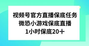 视频号直播任务，微恐小游戏，1小时20+【揭秘】-虚拟资源库