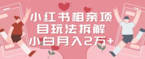 小红书相亲项目玩法拆解，有人通过这个副业项目做到了月收入2万多【揭秘】-虚拟资源库
