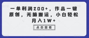 一单利润200+，作品一键原创，无脑搬运，小白轻松月入1W+【揭秘】-虚拟资源库