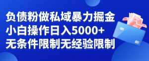 负债粉私域暴力掘金，小白操作入5000，无经验限制，无条件限制【揭秘】-虚拟资源库