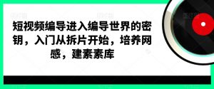 短视频编导进入编导世界的密钥，入门从拆片开始，培养网感，建素素库-虚拟资源库